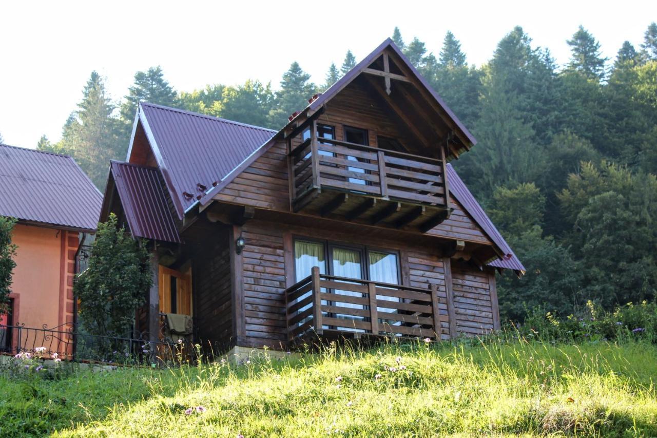 Cottage "Karpatske Shale" ياريمتشي المظهر الخارجي الصورة