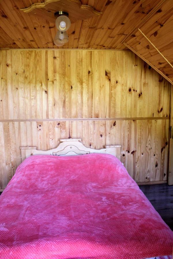 Cottage "Karpatske Shale" ياريمتشي المظهر الخارجي الصورة