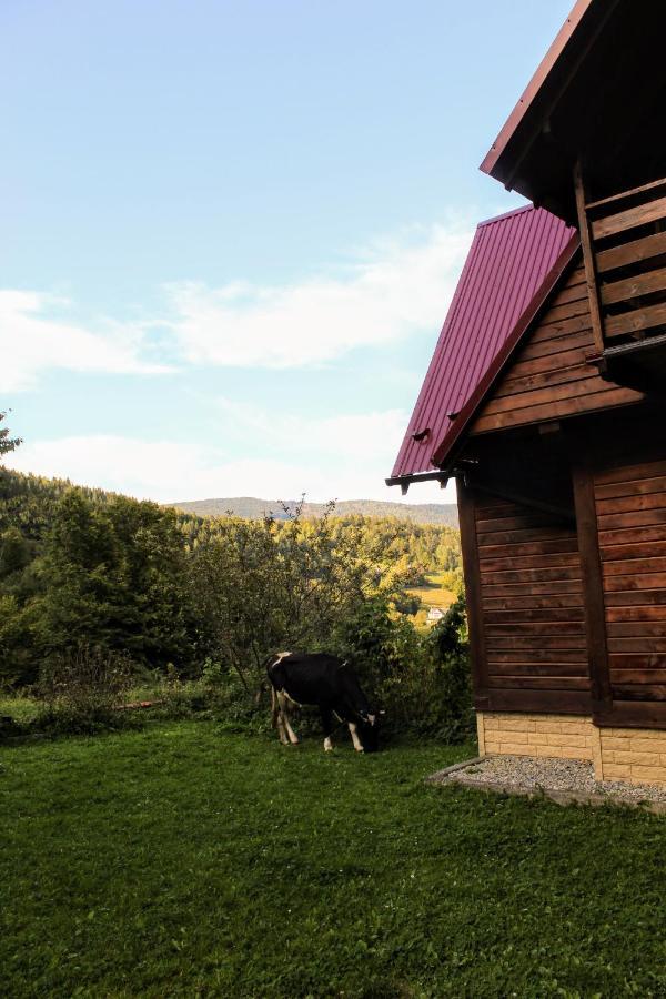 Cottage "Karpatske Shale" ياريمتشي المظهر الخارجي الصورة