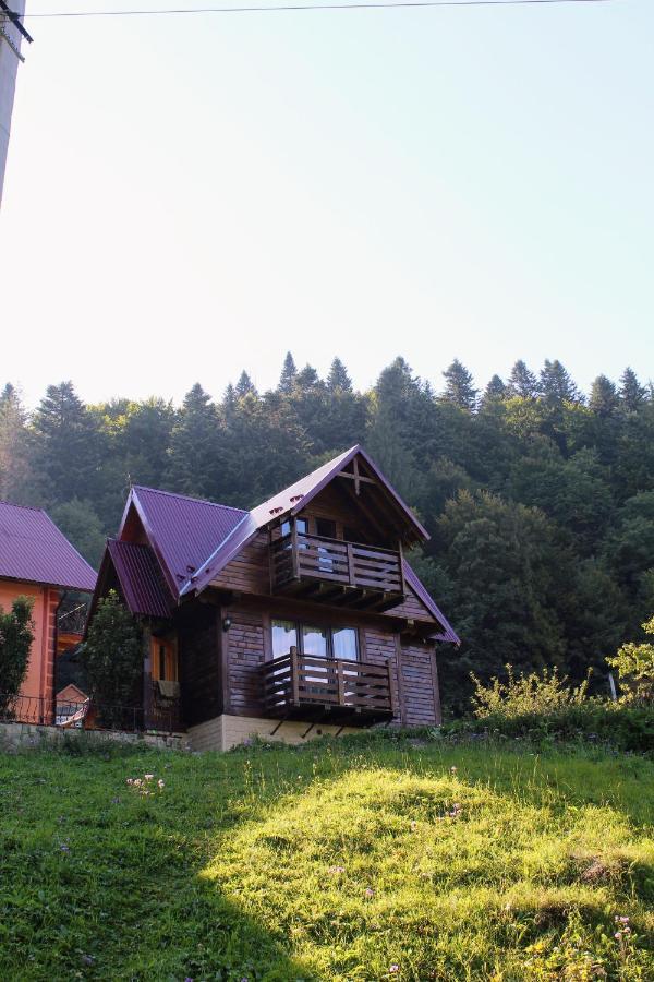 Cottage "Karpatske Shale" ياريمتشي المظهر الخارجي الصورة