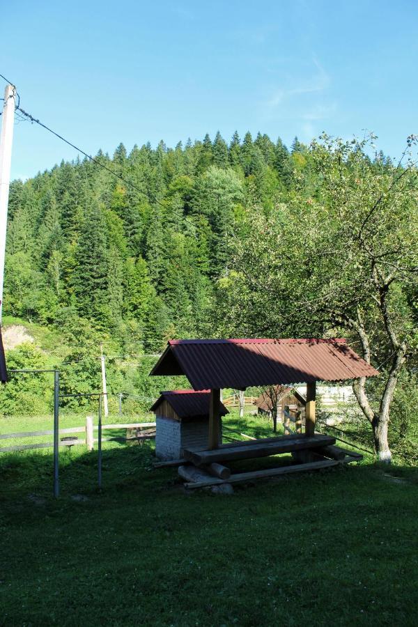 Cottage "Karpatske Shale" ياريمتشي المظهر الخارجي الصورة