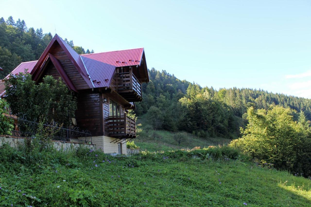 Cottage "Karpatske Shale" ياريمتشي المظهر الخارجي الصورة