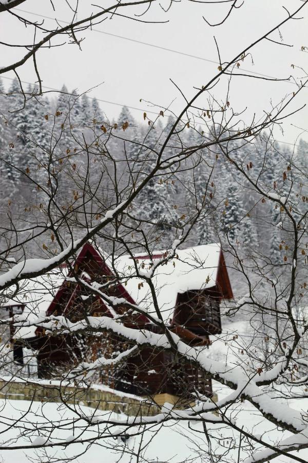 Cottage "Karpatske Shale" ياريمتشي المظهر الخارجي الصورة