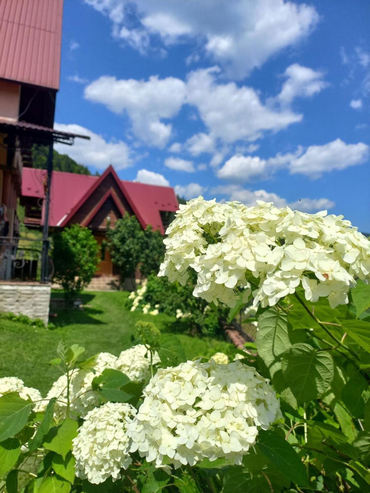 Cottage "Karpatske Shale" ياريمتشي المظهر الخارجي الصورة