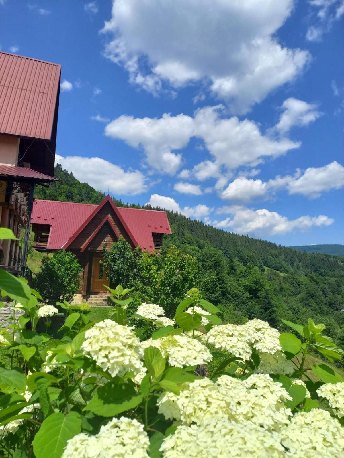 Cottage "Karpatske Shale" ياريمتشي المظهر الخارجي الصورة